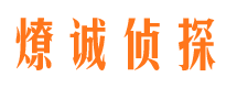 河口区市调查公司